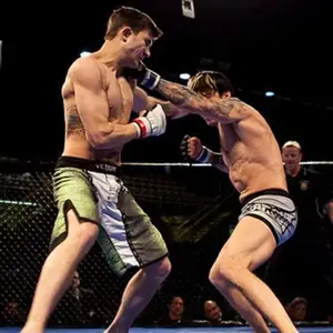 Robin Black's Recommended Books